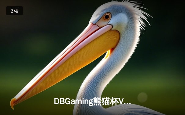 DBGaming熊猫杯V5测试赛：雷霆战队让二追三逆转星火，新人打野林风斩获FMVP - 2