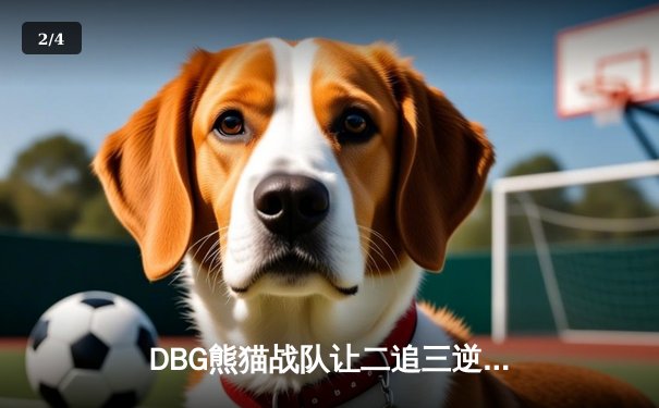 DBG熊猫战队让二追三逆转雷霆狮鹫，斩获V5测试杯总冠军 - 2